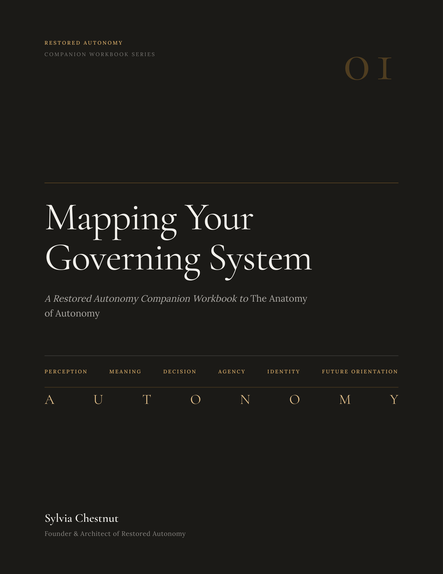 Mapping Your Governing System — Companion Workbook One